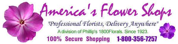 Send flowers today with Americas Flower Shops. Florist delivery throughout the USA and Canada.